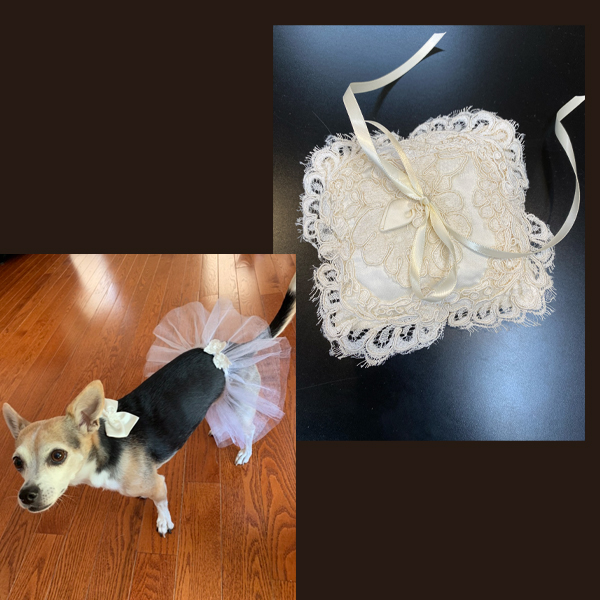 Dog's Tutu Skirt and Bow and Ringbear Pillow